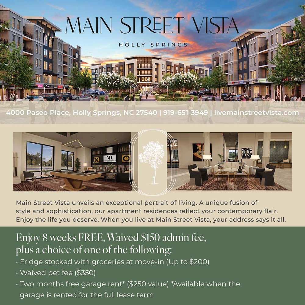Main Street Vista